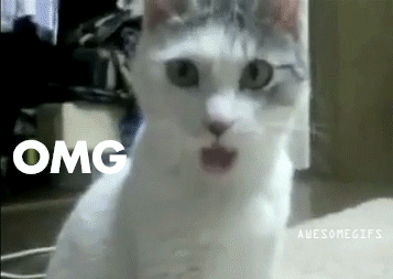 gif OMG