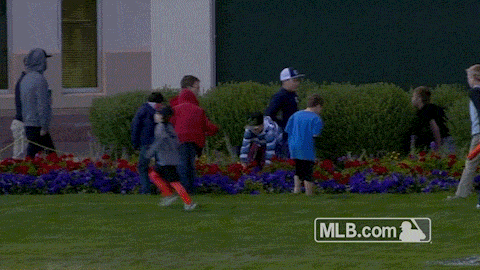 Egg hunt kids