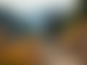 Top Electric Mountain Bikes for Australian Trails: Suspension, Torque, and Performance Insights