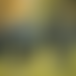 Why Buying a Refurbished eBike in Australia is a Smart and Sustainable Choice