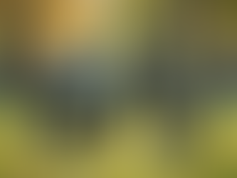 Why Buying a Refurbished eBike in Australia is a Smart and Sustainable Choice