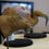 Miniature : Bustes