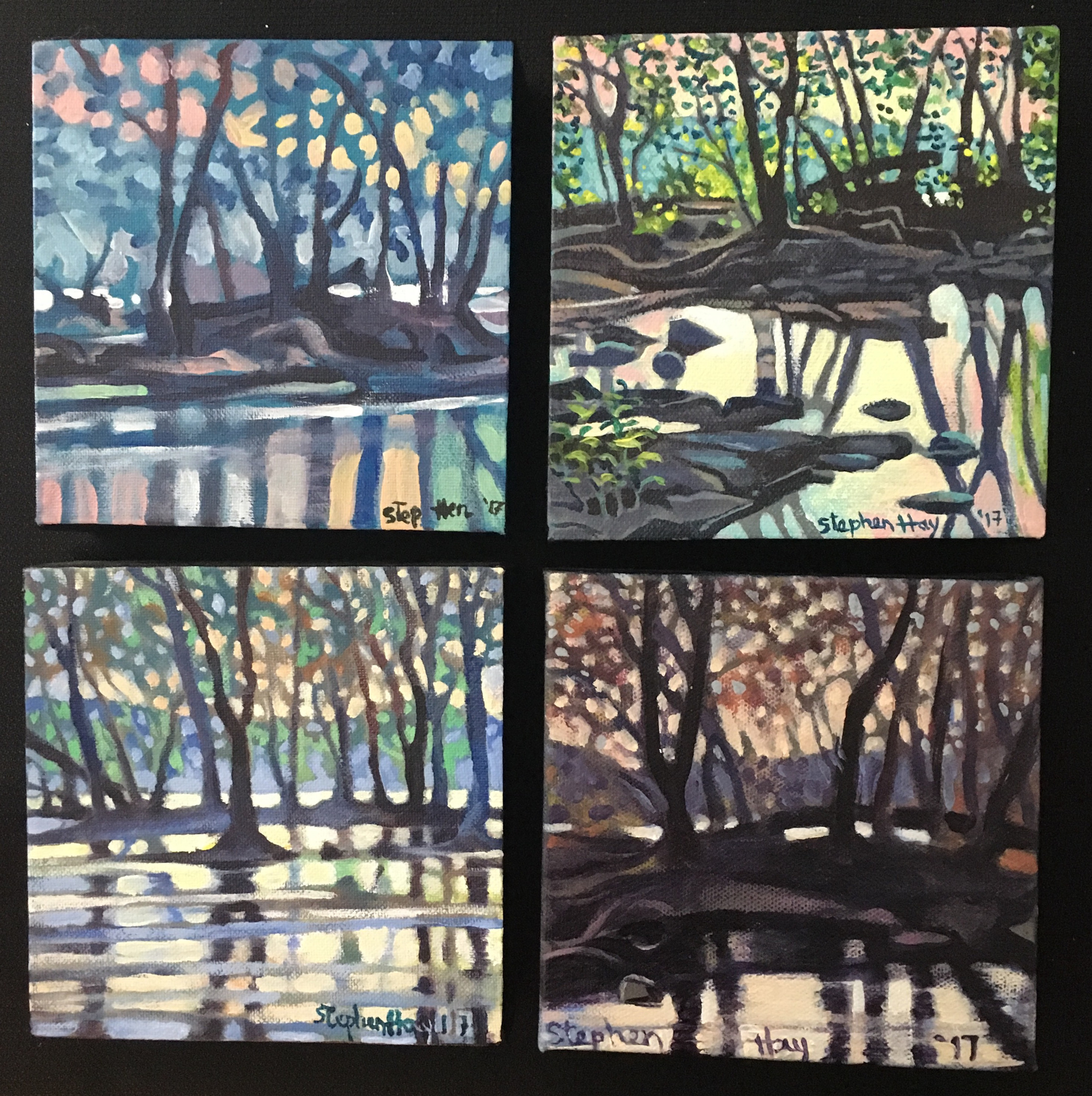 Potomac Four Seasons Collection (set of four)