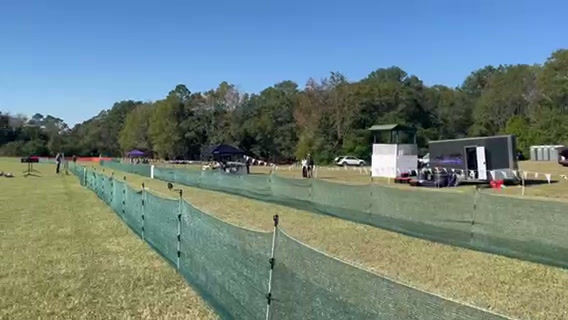 Miniature : Tally-Go Custom Quick Release Collar System