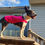 Miniaturbild: Blanket Style Racing Vest (1 vest)