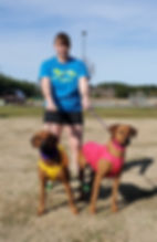 Miniatura: Dog with QRCS and Racing blanket 6