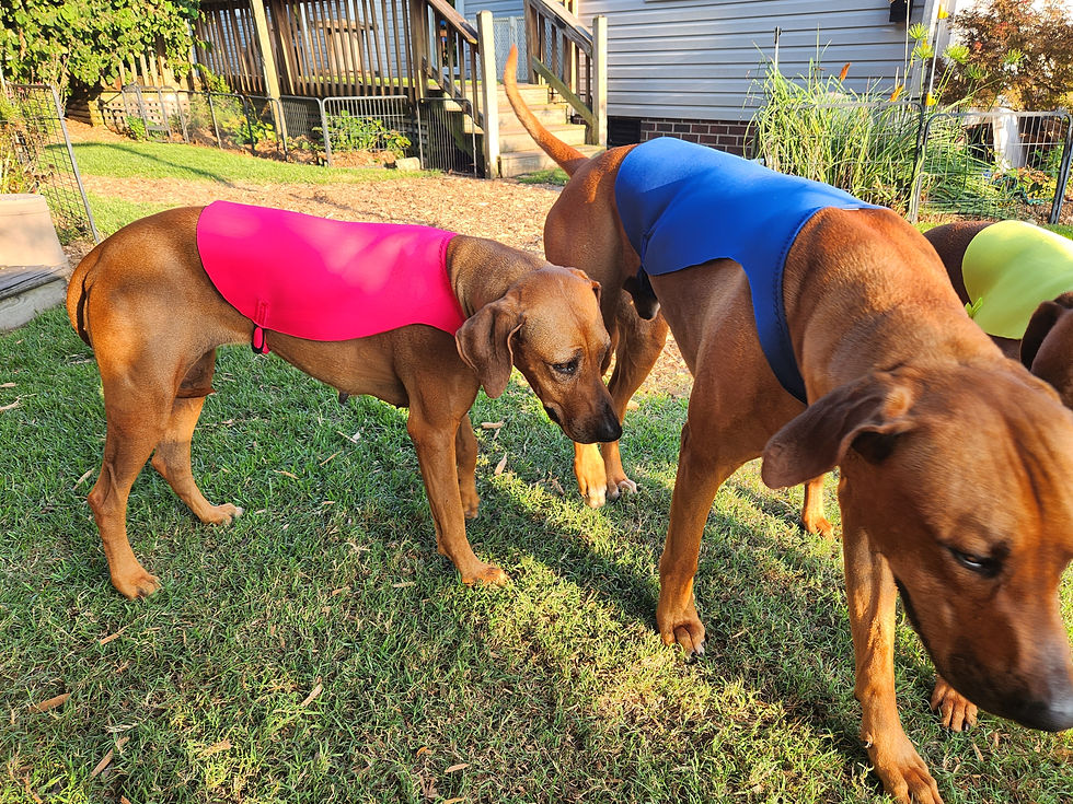 Thumbnail: Blanket Racing Vest 2