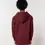 Miniature : Sweat-shirt à capuche