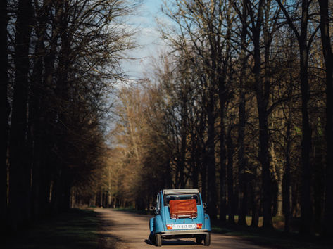 Blue 2CV at the end of a forest path