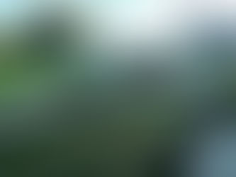 MUNICIPIO DE SAN JUAN DEL RÍO IMPLEMENTA POLÍTICAS INNOVADORAS CON JARDINES POLINIZADORES.