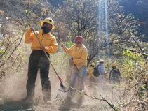 Reconoce SDS participación de mujeres en combate de incendios forestales.