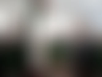 ROBERTO CABRERA ABANDERA A LA COMPAÑÍA DE DANZA OLLIN YOLIZTLI.