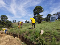 EN 37 MUNICIPIOS, MEDIO AMBIENTE REFORESTA CON MÁS DE 127 MIL ÁRBOLES.