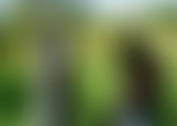 UIF bloquea cuentas a red ligada al Cártel Jalisco por robo de hidrocarburos.
