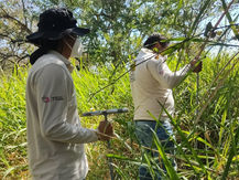 Localizan restos humanos en Puente de Ixtla.
