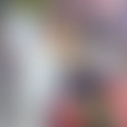 Realiza SESA Acciones de Protección Sanitaria en la Feria Jalpan 2026. 