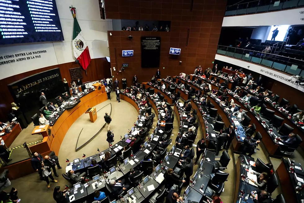 La bancada de legisladores del PAN fue la que se centró en ese como el tema más relevante, por ilegal y porque quita recursos al gobierno para invertir en salud, educación, ciencia.