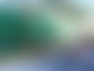 COMITÉ OLÍMPICO MEXICANO BUSCA REALIZAR EVENTOS EN YUCATÁN.