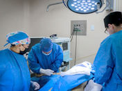 DESTACA LA SSG QUE EN SEIS DÍAS HUBO CUATRO DONACIONES DE ÓRGANOS.