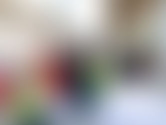 SUPERVISÓ MAURICIO KURI LA OBRA PASEO 5 DE FEBRERO Y ESCUCHO PETICIONES DE CIUDADANOS.