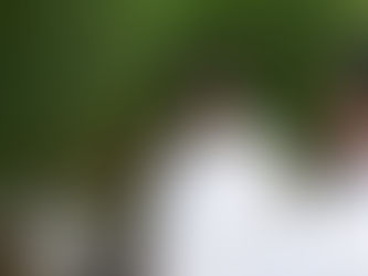 FINKA AMPLÍA OPERACIONES EN QUERÉTARO CON UNA INVERSIÓN DE MIL 200 MDP.