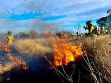 Derivado a las altas temperaturas se alerta a prevenir incendios.