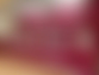 NO HABRÁ IMPUNIDAD PARA QUIENES ALTEREN EL ORDEN SOCIAL EN GUERRERO.