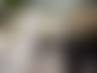 ROBERTO CABRERA SUPERVISA OBRAS EN ESCUELA DE SENEGAL DE LAS PALOMAS.