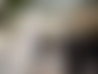 ROBERTO CABRERA SUPERVISA OBRAS EN ESCUELA DE SENEGAL DE LAS PALOMAS.