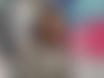 LA TITULAR DE LA SECRETARIA DEL TRABAJO INFORMA QUE EL SEGURO DE DESEMPLEO ES UN MODELO ÚNICO EN EL 