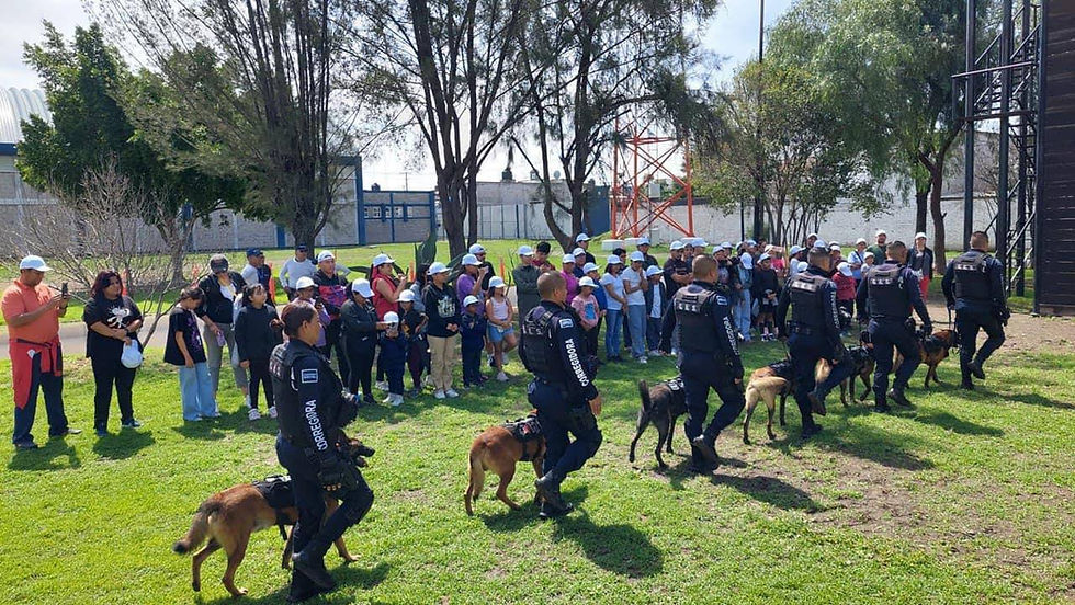 Durante este periodo de tiempo, el CECAFIS ha recibido a instituciones de educación básica, media superior y superior, quienes han tenido la oportunidad de interactuar con los cadetes que se encuentran en proceso de formación para graduarse como policías estatales o de alguna de 17 corporaciones municipales.