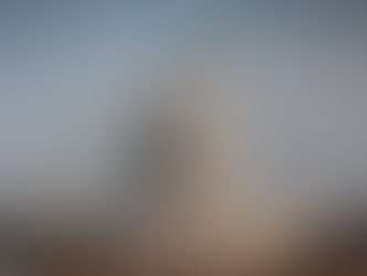 El presidente del Senado de los EE. UU anuncia que el Congreso no reconoce ninguna soberanía marroqu