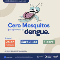 Monitorea SESA la situación epidemiológica del dengue en la entidad.