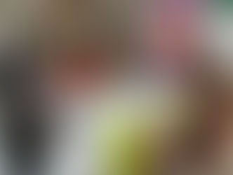 SE REANUDAN LAS BRIGADAS DE EMPLEO EN LOS MUNICIPIOS.