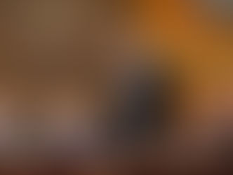 LLAMA GOBERNADOR A BLINDAR LA CONSTITUCIÓN Y LOGRAR UN CONSENSO NACIONAL.