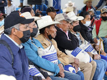 APOYA SEDEA CON MAÍZ A 615 PRODUCTORES DE LA SIERRA.
