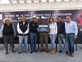 ENTREGA SEDEA APOYOS A PRODUCTORES AGROPECUARIOS DE CORREGIDORA.