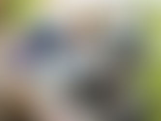 ROBERTO CABRERA INVIERTE MÁS DE 2 MDP EN EL RASTRO MUNICIPAL.