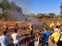 Capacitan a personal directivo de la SDS en atención de incendios forestales.