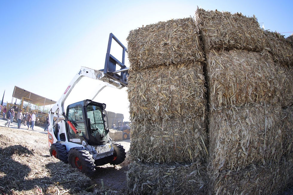 González Ruiz comentó que, el Gobernador del Estado, dio la instrucción para implementar un programa emergente por sequía, para brindar respaldo a los productores afectados, ante la imposibilidad de contratar un seguro agropecuario catastrófico, y debido a la pérdida de sus cultivos.