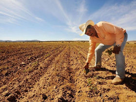 DESTINARÁ GOBIERNO 72 MDP PARA ATENDER A PRODUCTORES AFECTADOS POR SEQUÍAS.