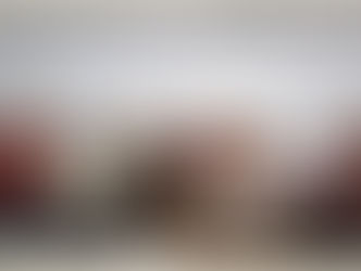 DIPUTADOS IMPULSAN PROPUESTA EN MATERIA VIVIENDA POPULAR PARA QUERÉTARO.