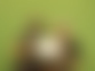 ALISTA SEDEQ ACCIONES PARA RECUPERAR LOS APRENDIZAJES PERDIDOS TRAS LA PANDEMIA.