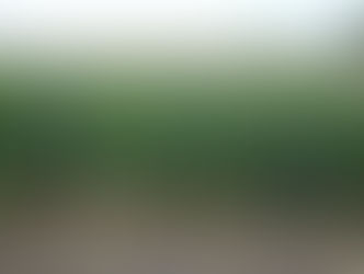 INEGI Y PROCURADURÍA AGRARIA REALIZARÁN CENSO AGROPECUARIO 2022.