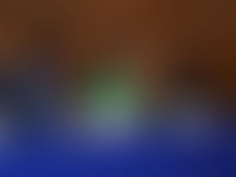 REALIZA SESA SEMINARIO DE TRABAJO SOCIAL EN SJR.