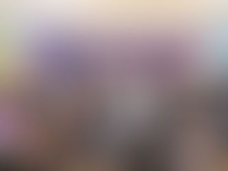 ENTREGAN OBRA EN SENEGAL DE LAS PALOMAS GOBIERNO DEL ESTADO Y MUNICIPIO DE SAN JUAN DEL RÍO.