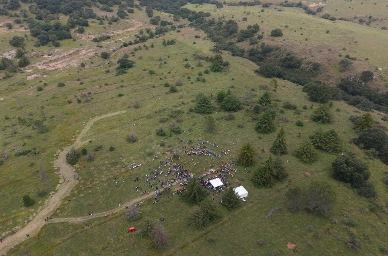 Vista aérea de la reforestación en el municipio de Amealco de Bonfil, donde se congregaron voluntarios para revitalizar el paisaje con nuevos árboles.