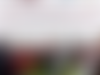 QUERÉTARO SIGUE UNA POLÍTICA DE ATENCIÓN A LA VIOLENCIA Y AL DELITO POR SUS CAUSAS.