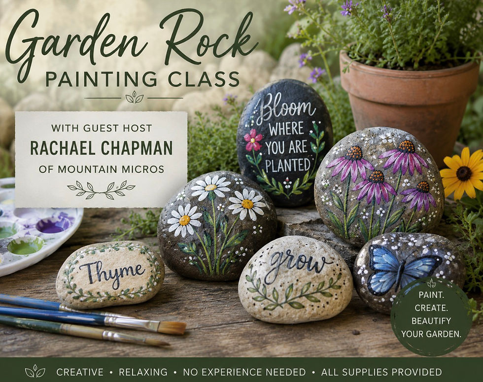 Rock Painting Workshop