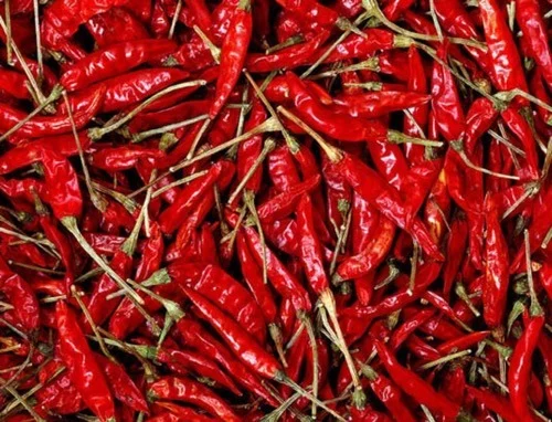 Guntur Chilli